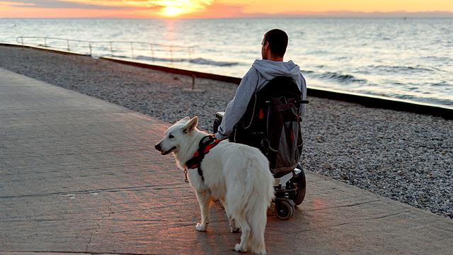 Ε.Σ.Α.μεΑ.: Τα προβλήματα με την Κάρτα Αναπηρίας συνεχίζονται