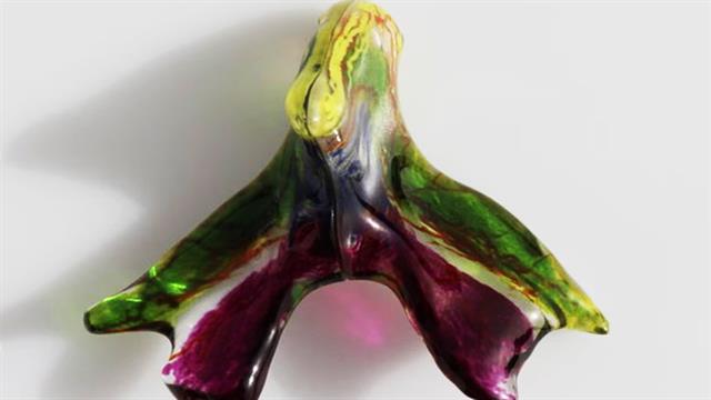 Στο φως τα μυστικά της κλειτορίδας: Χαρτογραφήθηκε για πρώτη φορά το πλήρες δίκτυο των νεύρων της