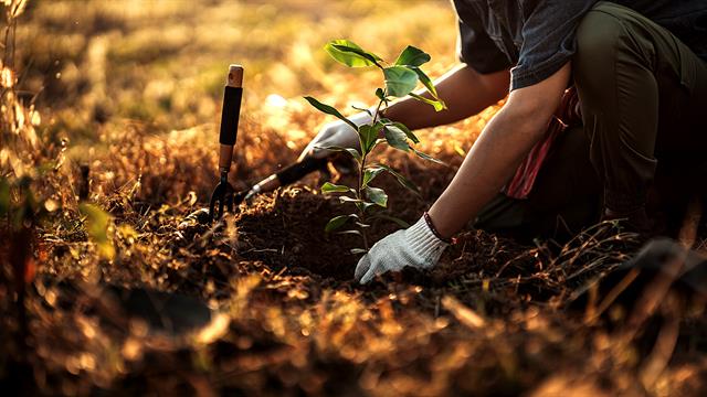 Προσαρμογή ή εξαφάνιση: Η βιοποικιλότητα καθορίζει την επιβίωση των φυτών στην εποχή της κλιματικής αλλαγής