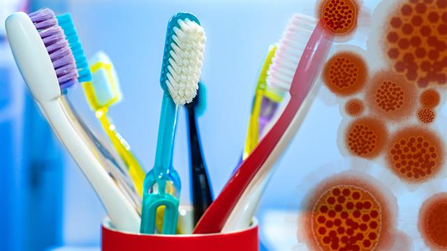 Ερευνα - έκπληξη: Πόσο συχνά βουρτσίζουν τα δόντια τους οι Αυστριακοί