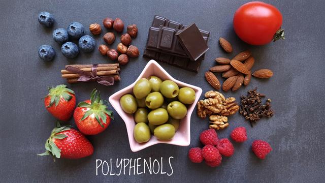 Ελιές και μύρτιλα στο επίκεντρο της έρευνας για τον μεταβολισμό