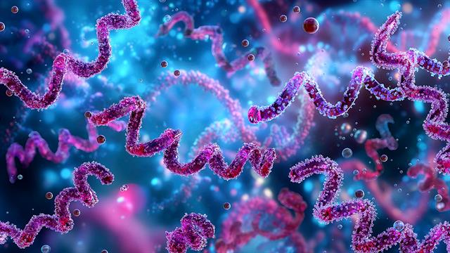 Το σεξουαλικώς μεταδιδόμενο νόσημα που αυξάνει τον κίνδυνο καρδιακής προσβολής - εγκεφαλικού [μελέτη]