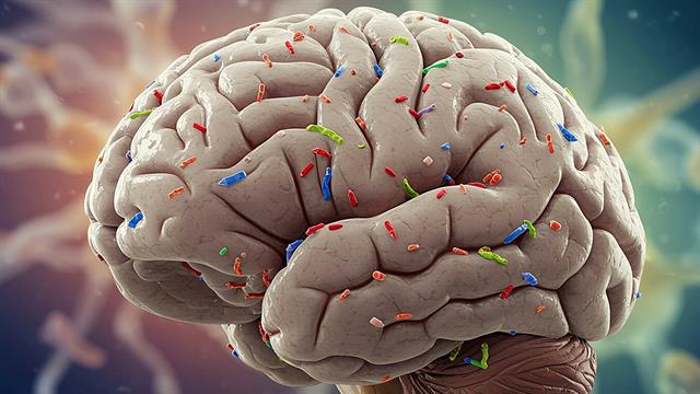 Ανίχνευση μικροπλαστικών σε  εγκεφαλικούς όγκους  και σε υγιή ιστό