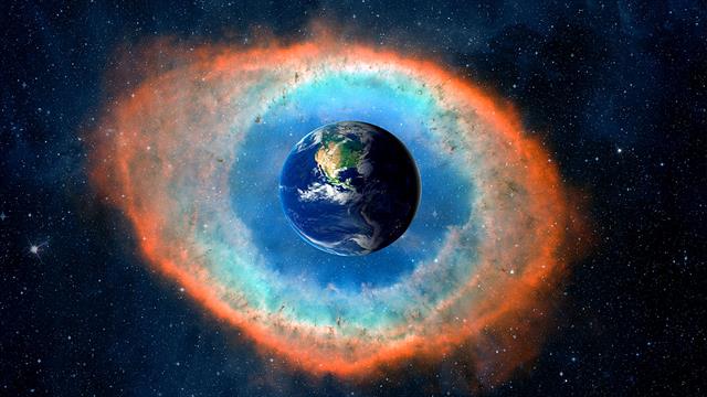 Το δέντρο της ζωής