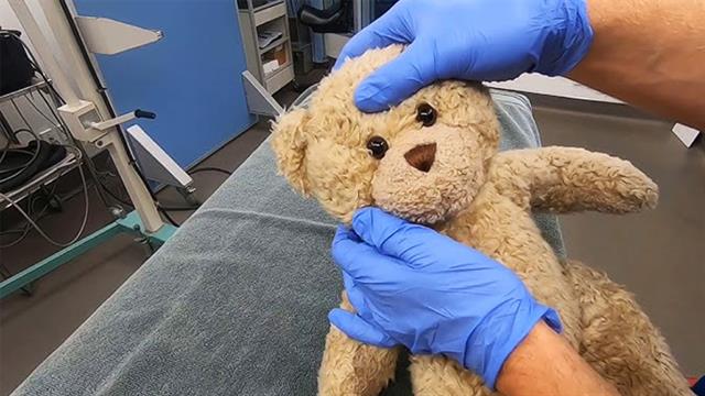 Teddy Bear Hospital: Το αρκουδάκι ως μέσο εξοικείωσης παιδιών με τον γιατρό