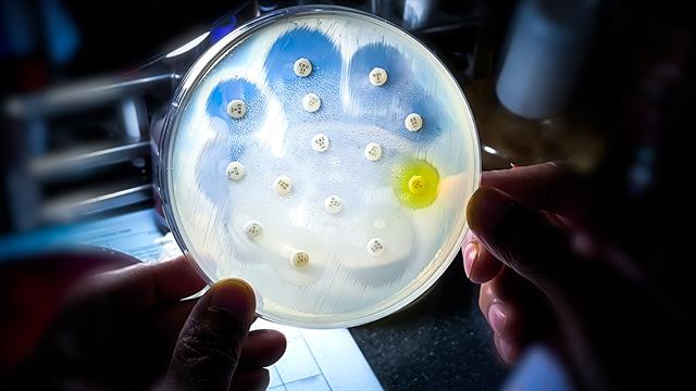 Πιο αποτελεσματική η αντιμετώπιση των ανθεκτικών μικροβίων με τη σωστή σειρά των αντιβιοτικών