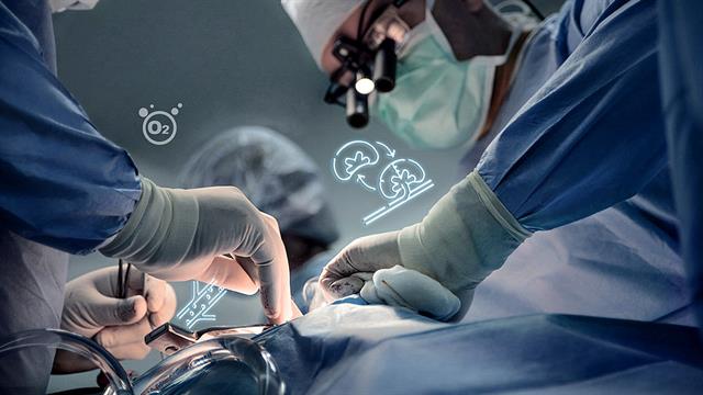 Νέο φάρμακο αυξάνει τις πιθανότητες επιτυχούς μεταμόσχευσης νεφρού