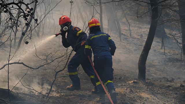 Η Αττική χάνεται στις φλόγες: Το 42% των δασών της κάηκαν σε μια δεκαετία