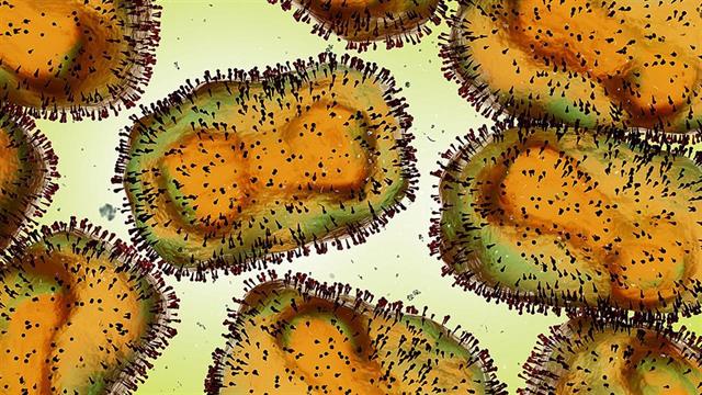 ECDC: 888 κρούσματα mpox κλάδου ΙΙ στην Ευρώπη - Πόσα καταγράφηκαν στην Ελλάδα