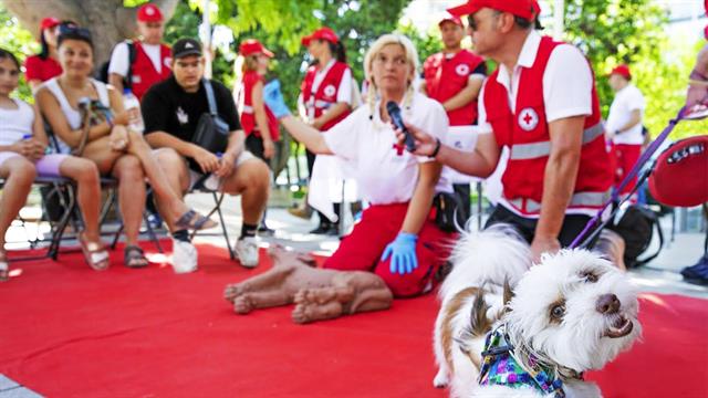 O ΕΕΣ τίμησε την Παγκόσμια Ημέρα Σκύλου με δράση για τους τετράποδους φίλους μας στην πλατεία Συντάγματος