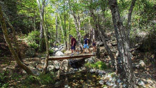 Mountain Games Cyprus 2026: Διεθνές Επιστημονικό Συμπόσιο - H Άσκηση ως Πυλώνας Πρόληψης και Δημόσιας Υγείας