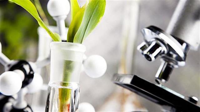 Σύγχρονα φάρμακα από φυσικές πρώτες ύλες