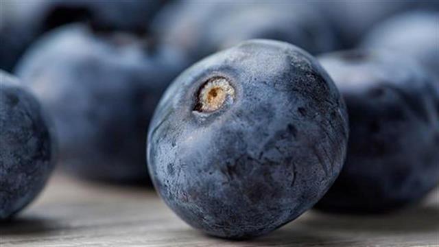 Η επανείσοδος των φαρμάκων φυσικής προέλευσης: Νέες ευκαιρίες