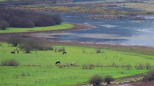 Π.Ο.Υ: Οι κλιματικές αλλαγές οδηγούν σε έξαρση των ασθενειών