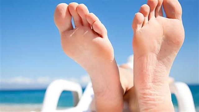 Τι είναι οι μύκητες και πώς θα τους αναγνωρίζω;