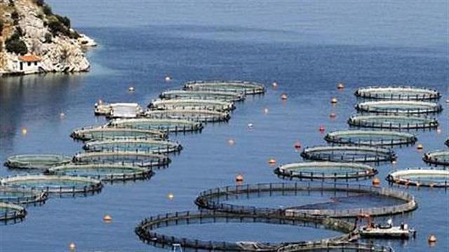 Σελόντα: Aύξηση του κύκλου εργασιών κατά 3,85% για την οικονομική χρήση του 2012