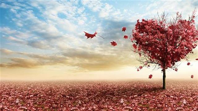 Μπορούμε να νικήσουμε το έμφραγμα!