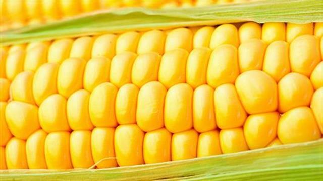 Οι τροφές “αλλάζουν”: πώς θα γνωρίζετε τί τρώτε