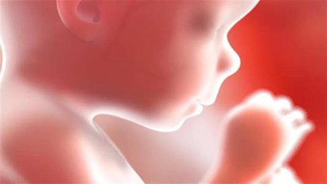 Τα έμβρυα μαθαίνουν λέξεις