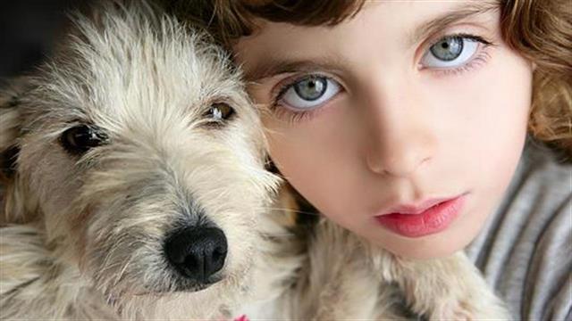 Κακοποίηση ζώων από παιδιά: Μια επικίνδυνη συνήθεια