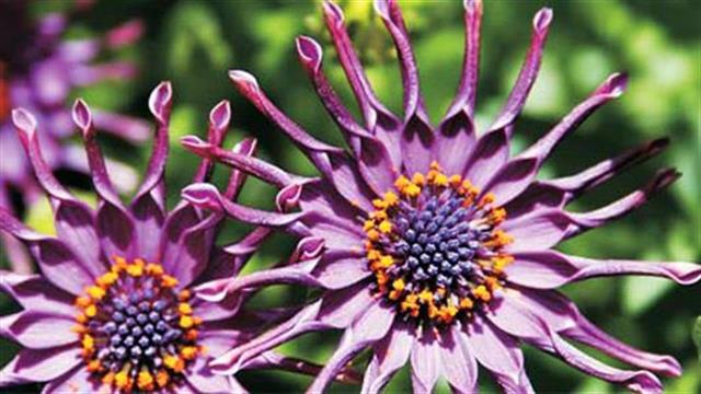 Επιστημονική  ημερίδα για τα σπάνια φάρμακα