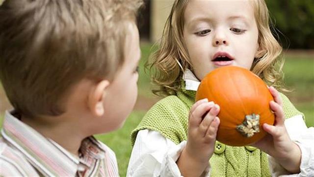 Πρότυπο πρόγραμμα διατροφικής εκπαίδευσης στα συστήματα προσκόπων