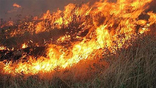 Σοβαρές βλάβες από φωτιά