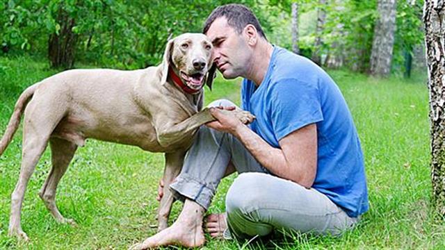 Εκπαιδευμένοι σκύλοι μυρίζουν τον καρκίνο του προστάτη