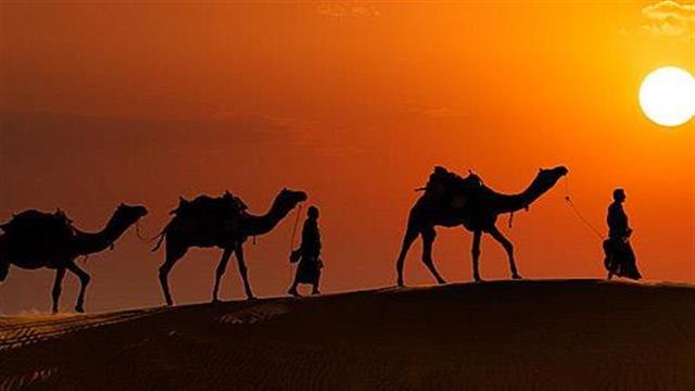 ‘Ερευνα ανακάλυψε ότι ο ιός MERS πράγματι μεταδόθηκε από την καμήλα στον άνθρωπο