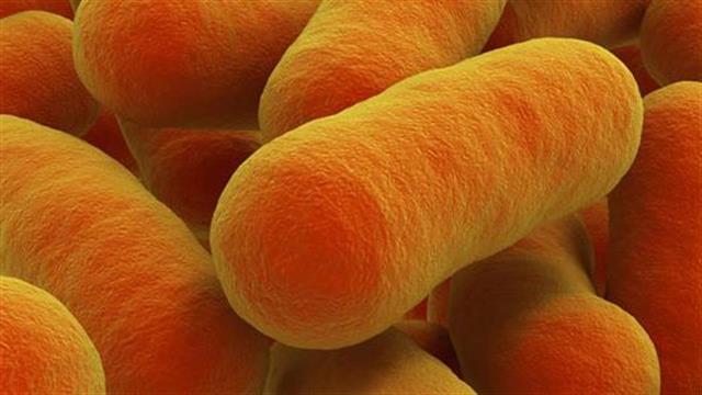 Νέα συνθετική θεραπεία κατά της φυματίωσης