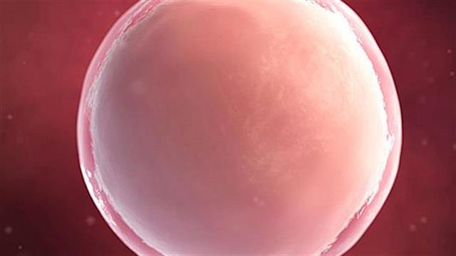 Γονίδιο συνδέεται με αυξημένο κίνδυνο για εγκεφαλικό επεισόδιο και καρδιακή προσβολή