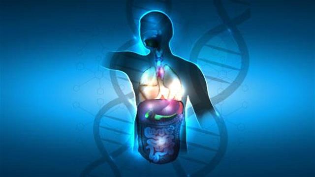 Καρκίνος στο πάγκρεας: Μπορούν οι αλλαγές στον τρόπο ζωής να μειώσουν τον κίνδυνο;