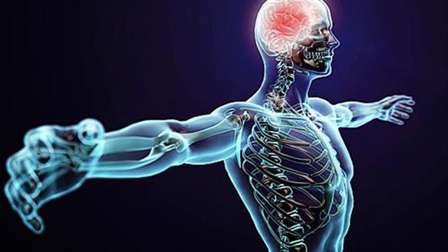 Τι είναι η Νευροεπιστήμη και πώς μπορεί να βοηθήσει