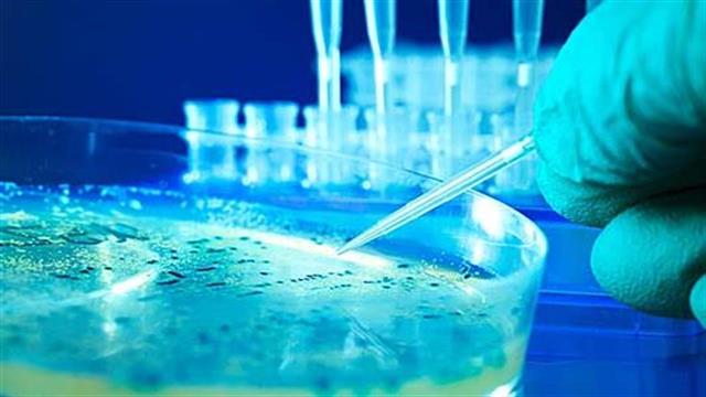 Στροφή στο αίμα επιζώντων για αντισώματα κατά του Έμπολα