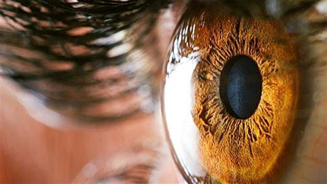 Ιριδολογία: Mια προγνωστική επιστήμη