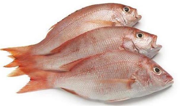 Η κατανάλωση ψαριών προστατεύει την ακοή