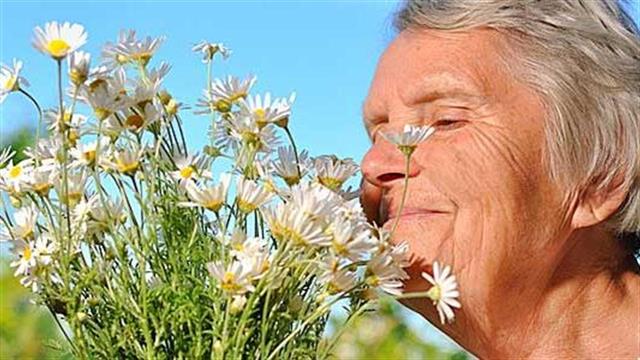 Η αίσθηση της όσφρησης προβλέπει πόσο θα ζήσουμε