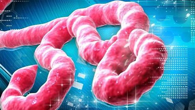 ΟΗΕ: Ο Εμπολα μπορεί να μεταλλαχτεί και να γίνει αερομεταφερόμενος