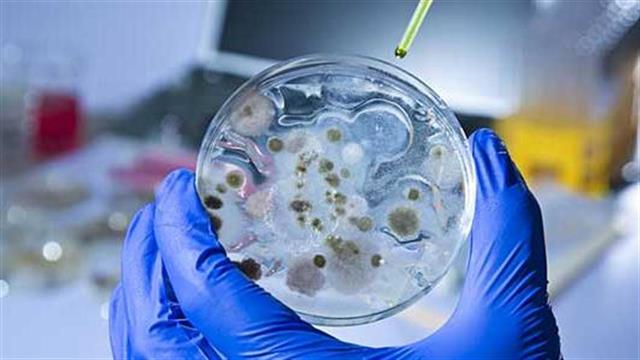 Ευρεία σύσκεψη φορέων για τον Ebola