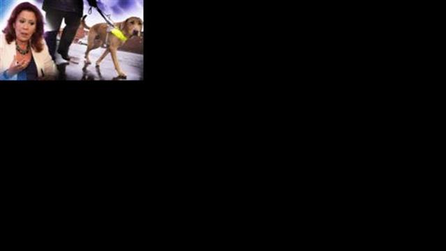 Επιτρέπεται η είσοδος σκύλων για τυφλούς σε λεωφορεία – καταστήματα