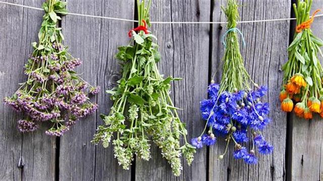 Προσθέστε μπαχαρικά και βότανα στο φαγητό για καλύτερη υγεία