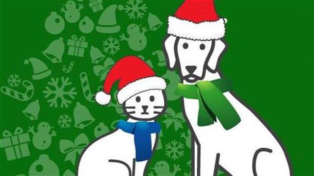 Παζάρι της Ζωοφιλικής Ένωσης Ηλιούπολης