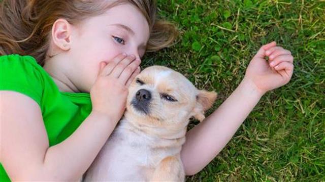 Τα οφέλη της συντροφιάς ενός ζώου