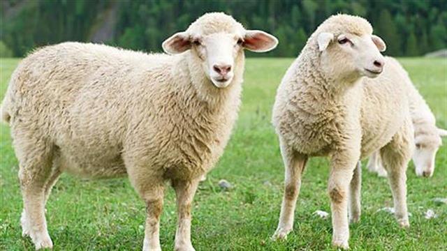 Πρόληψη για τον καταρροϊκό πυρετό εν όψει καλοκαιριού