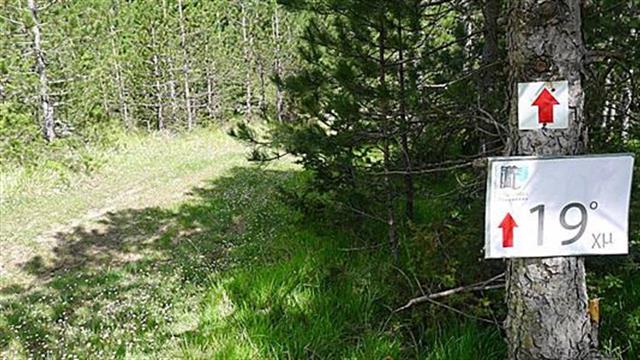 Μονοπάτι Παρνασσού 2015: Aποτελέσματα αγώνα