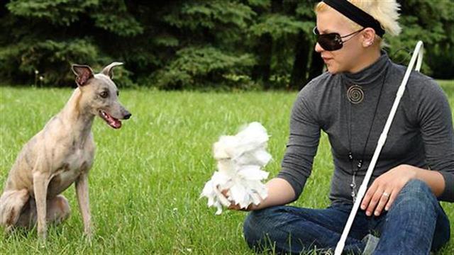 Ποιες παθήσεις μπορούν να προκαλέσουν τύφλωση;