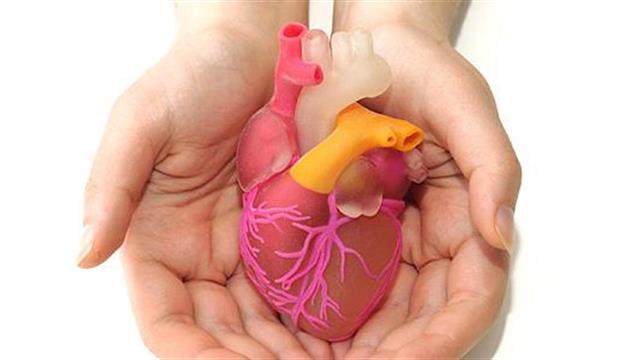 Όταν η τέχνη και η φιλοσοφία συναντούν την Καρδιολογία