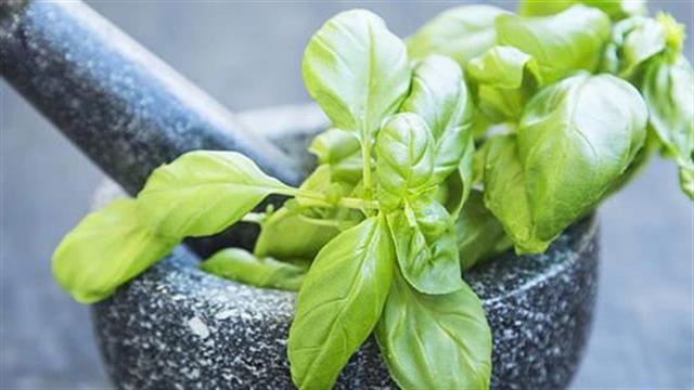 Μπαχαρικά και βότανα: Τα γιατρικά της φύσης