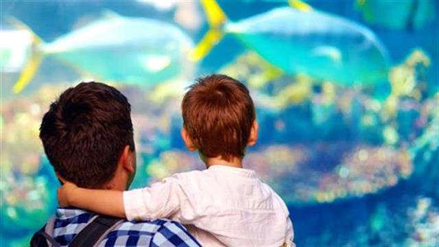 Τα ψάρια στα ενυδρεία μειώνουν την αρτηριακή πίεση