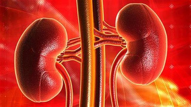 Έξι κοινές συνήθειες που βλάπτουν σοβαρά τα νεφρά σας